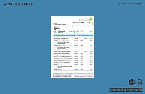 Beispiel eines Kontoauszugs der Commercial Bank of Dubai (VAE) – Vorschau